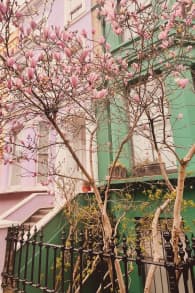 Photo 6 from London Notting Hill: Self-Guided Podcast Walking Tour