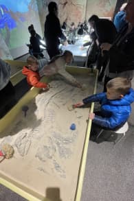 Photo 3 from Dinos Alive: An Immersive Experience