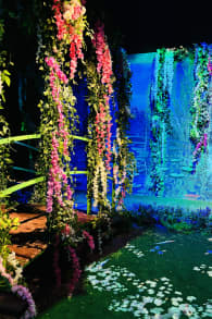 Photo 0 from Monet : The Immersive Experience
