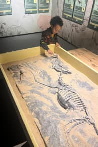 Photo 5 from Dinos Alive: The Immersive Experience