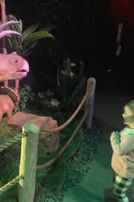 Photo 4 from Dinos Alive: An Immersive Experience