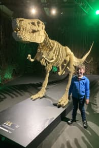 Photo 2 from The Art of the Brick: An Exhibition of LEGO® Art