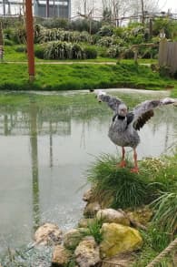 Photo 0 from Parrot World : billets journée