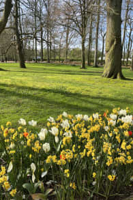 Photo 8 from Floralia Brussels, the 21st Edition of the Spring Flower Show