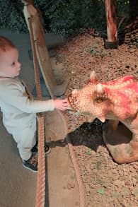 Photo 6 from Dinos Alive: The Immersive Experience