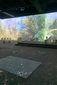 Photo 2 from Monet: The Immersive Experience