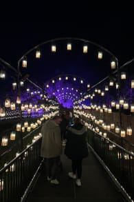 Photo 5 from Harry Potter: A Forbidden Forest Experience