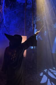 Photo 3 from Harry Potter: A Forbidden Forest Experience