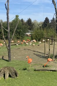 Photo 0 from Parrot World : billets pour les expériences immersives