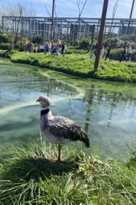 Photo 1 from Parrot World : billets pour les expériences immersives
