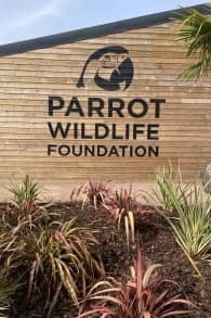 Photo 9 from Parrot World : billets journée