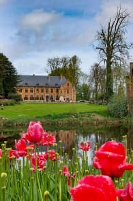 Photo 12 from Floralia Brussels, the 21st Edition of the Spring Flower Show