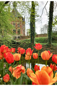 Photo 11 from Floralia Brussels, the 21st Edition of the Spring Flower Show