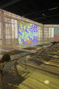 Photo 4 from Van Gogh: L’esperienza Immersiva