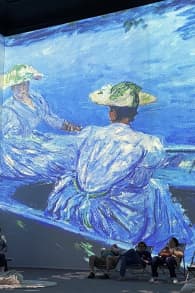 Photo 8 from Monet: The Immersive Experience