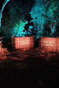 Photo 11 from Harry Potter: A Forbidden Forest Experience