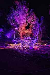 Photo 12 from Harry Potter: A Forbidden Forest Experience