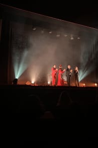 Photo 0 from We call it Flamenco: uno spettacolo unico di danza spagnola