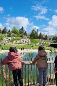 Photo 5 from Parrot World : billets journée