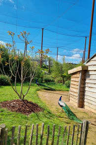 Photo 4 from Parrot World : billets journée