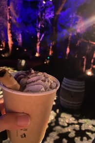 Photo 10 from Harry Potter: A Forbidden Forest Experience