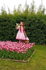 Photo 0 from Floralia Brussels, the 21st Edition of the Spring Flower Show