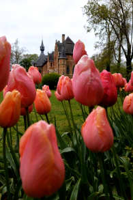 Photo 3 from Floralia Brussels, the 21st Edition of the Spring Flower Show
