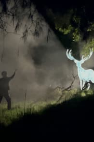 Photo 8 from Harry Potter: A Forbidden Forest Experience