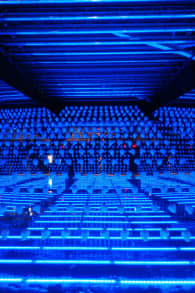 Photo 8 from The Art of the Brick : L'Expérience immersive
