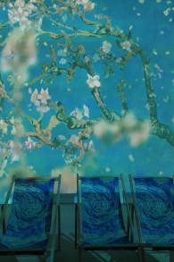 Photo 9 from Van Gogh: The Immersive Experience - Culiacán