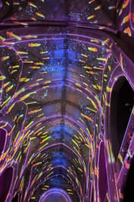 Photo 4 from Genesis: una experiencia luminosa e inmersiva en Barcelona