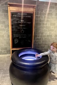 Photo 1 from Harry Potter™: Magic at Play