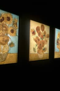 Photo 6 from Van Gogh: The Immersive Experience