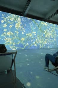 Photo 5 from Van Gogh: The Immersive Experience