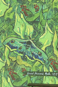 Photo 6 from Van Gogh: The Immersive Experience