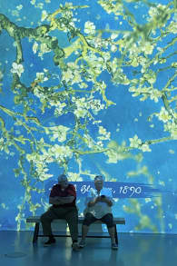 Photo 8 from Van Gogh: The Immersive Experience