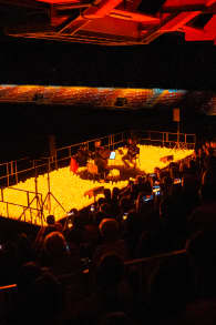 Photo 3 from Rapto Desperados