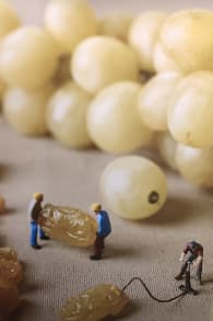 Photo 2 from Small Is Beautiful - Museo d'Arte in Miniatura