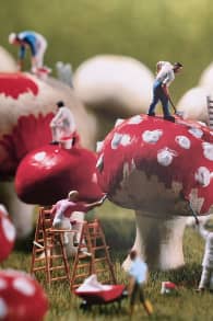 Photo 0 from Small Is Beautiful - Museo d'Arte in Miniatura