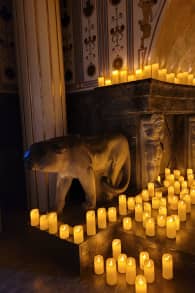Photo 2 from Candlelight: Tribut an Hans Zimmer