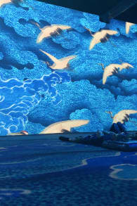 Photo 2 from The Spirit of Japan: An Immersive Art Experience