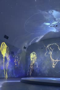 Photo 8 from ﻿Klimt: The Immersive Experience - Antwerp