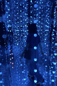 Photo 7 from Dopamine Land: A Multisensory Experience