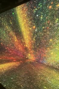 Photo 6 from PULSE: Beyond Delight