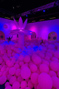 Photo 7 from Bubble Planet - An Immersive Experience