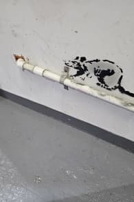 Photo 3 from The Banksy Museum en Nueva York