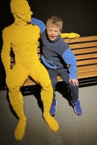 Photo 3 from The Art of the Brick : L'Expérience immersive