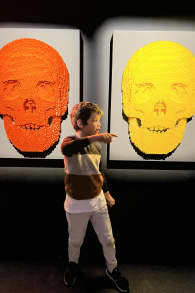 Photo 2 from The Art of the Brick : L'Expérience immersive