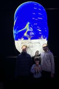 Photo 1 from The Art of the Brick : L'Expérience immersive