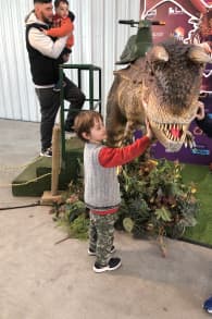 Photo 2 from Dinosaurios y Dragones Fantásticos - Buenos Aires